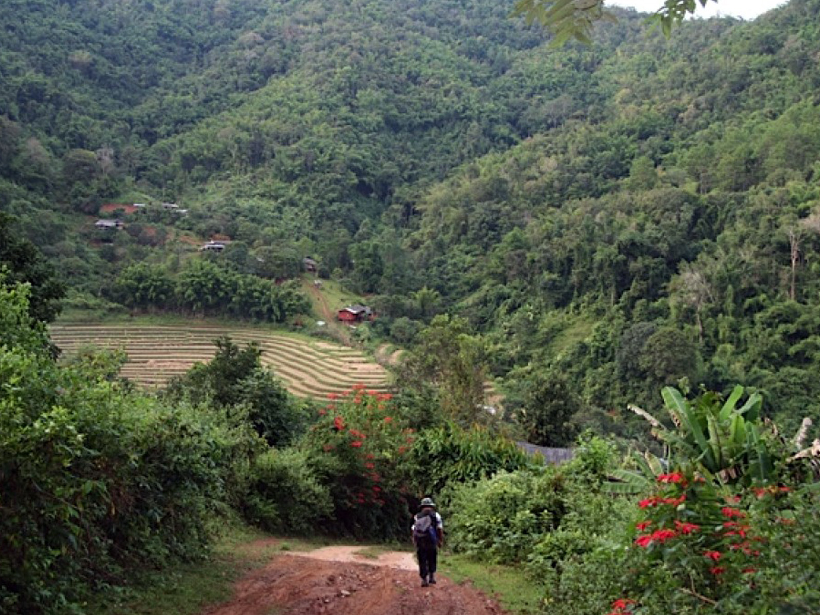 Absolut einmaliges Trekking-Erlebnis | Chiang Mai Trekking | Das beste Trekking in Chiang Mai mit Piroon Nantaya