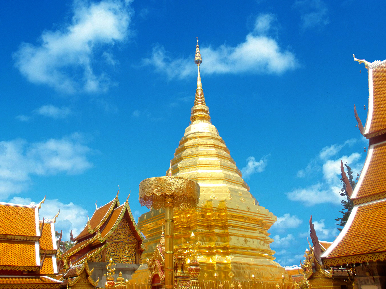 Sightseeing-Touren - Doi Suthep | Chiang Mai Trekking | Das beste Trekking in Chiang Mai mit Piroon Nantaya