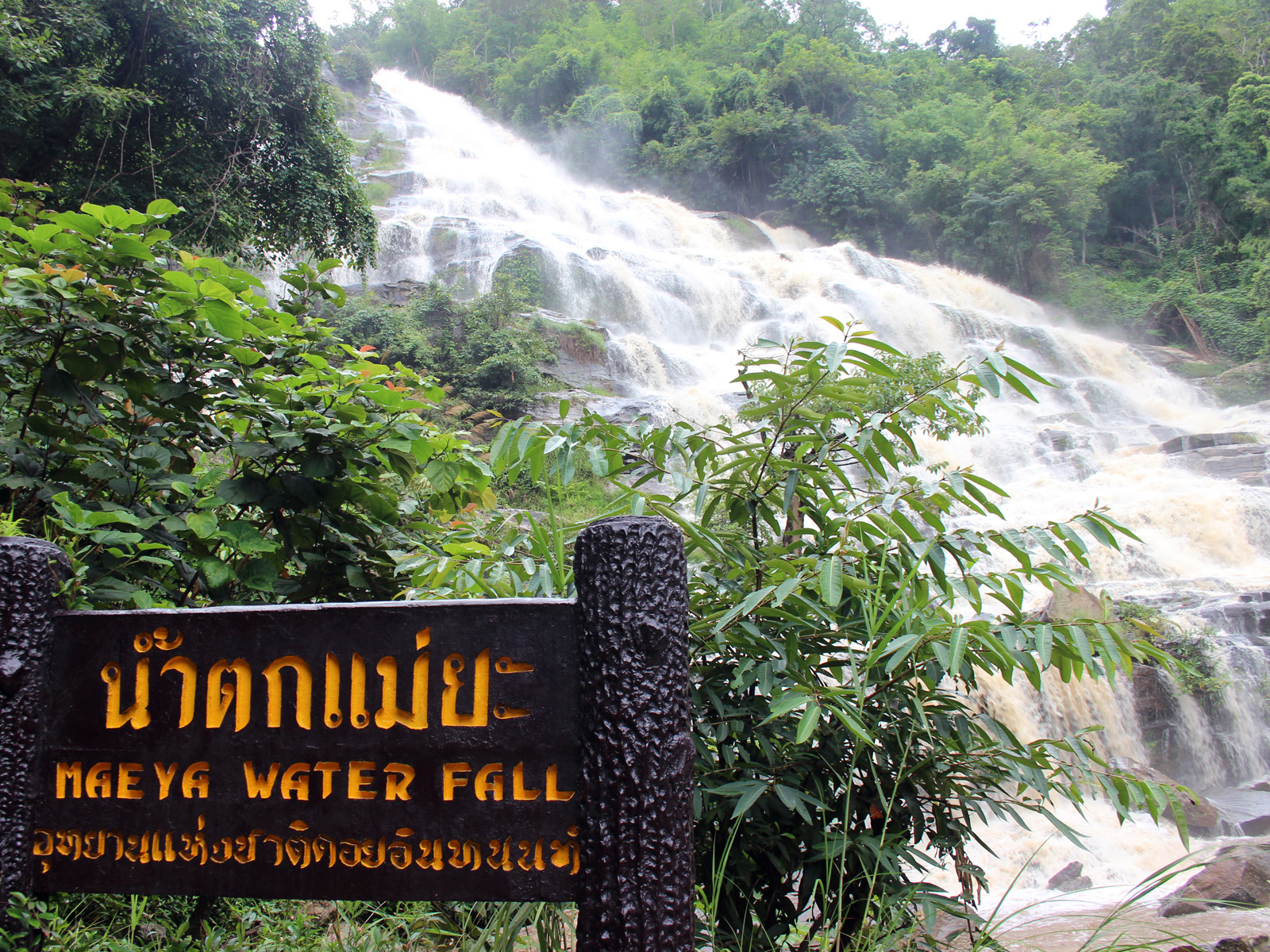 Doi Inthanon | Chiang Mai Trekking | Das beste Trekking in Chiang Mai mit Piroon Nantaya