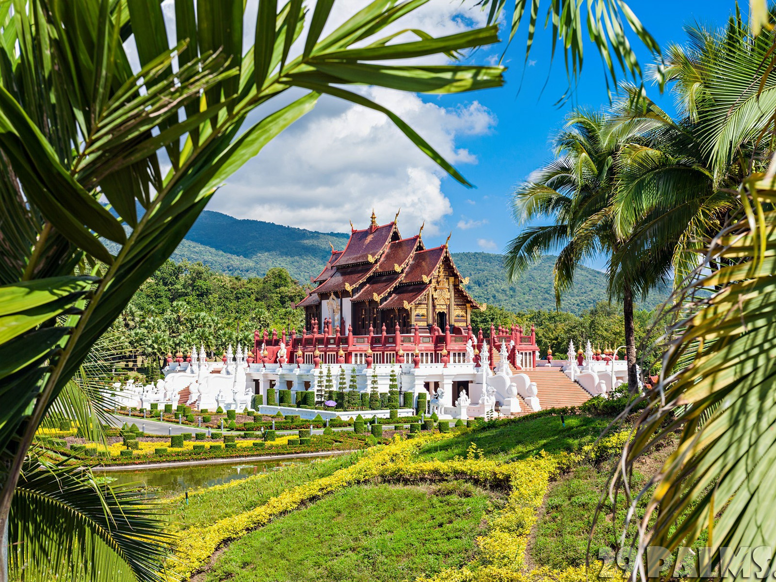 Individuelle Touren | Chiang Mai Trekking | Das beste Trekking in Chiang Mai mit Piroon Nantaya