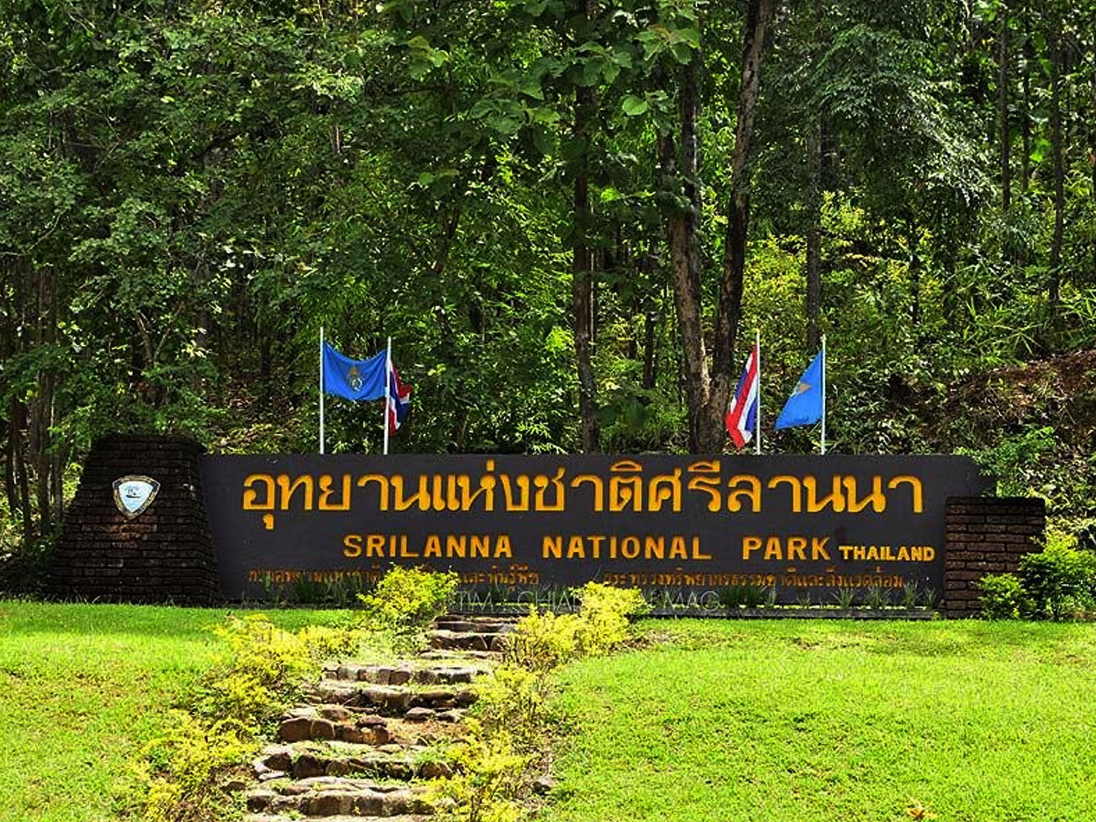Sri Lanna National Park | Chiang Mai Trekking | Das beste Trekking in Chiang Mai mit Piroon Nantaya