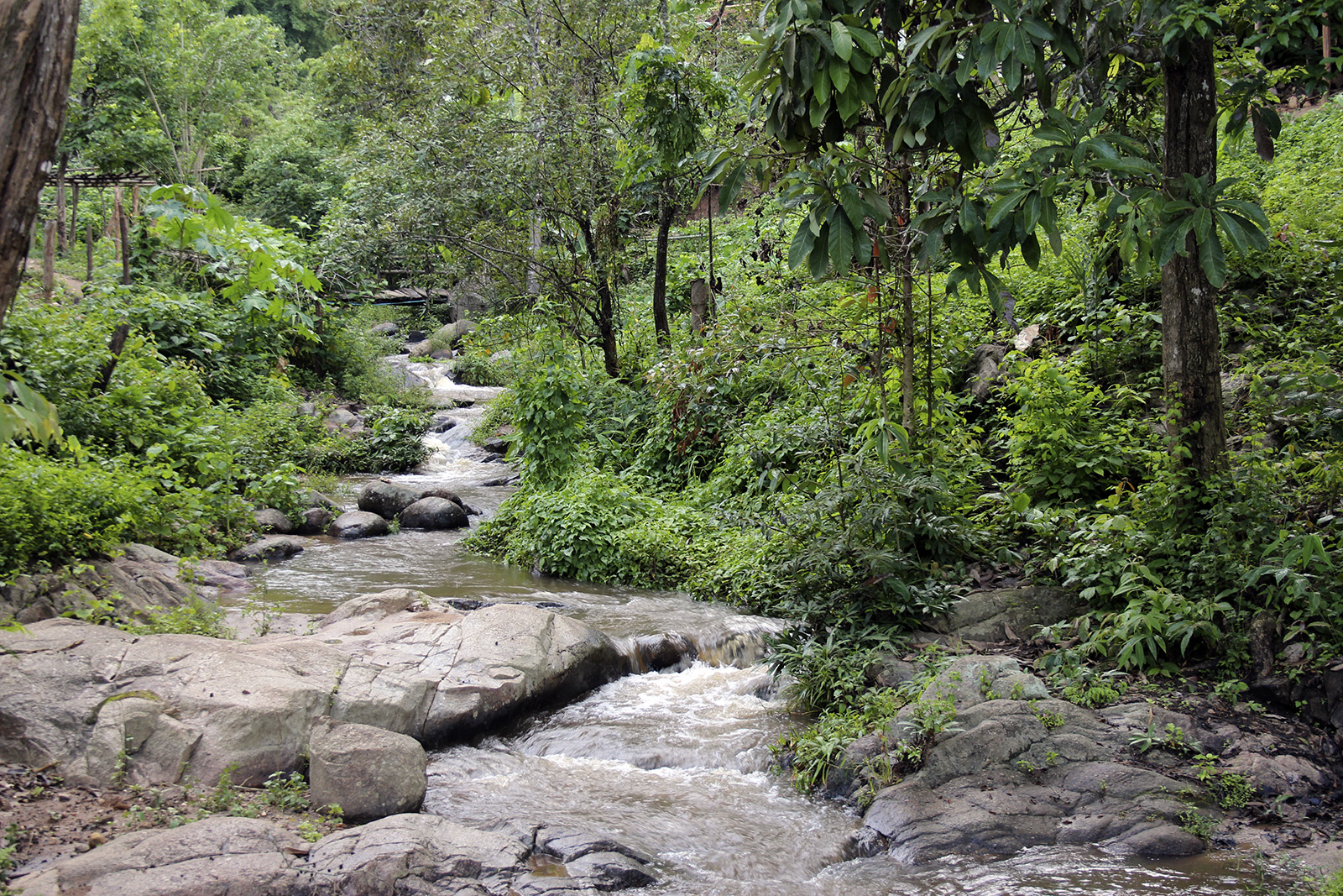 Absolut einmalig und authentisch | Chiang Mai Trekking | Das beste Trekking in Chiang Mai mit Piroon Nantaya