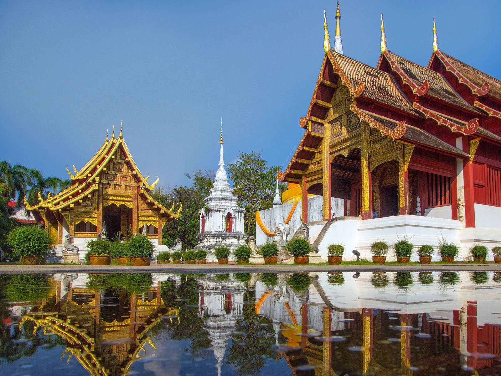 Wat Phra Singh | Chiang Mai Trekking | Das beste Trekking in Chiang Mai mit Piroon Nantaya