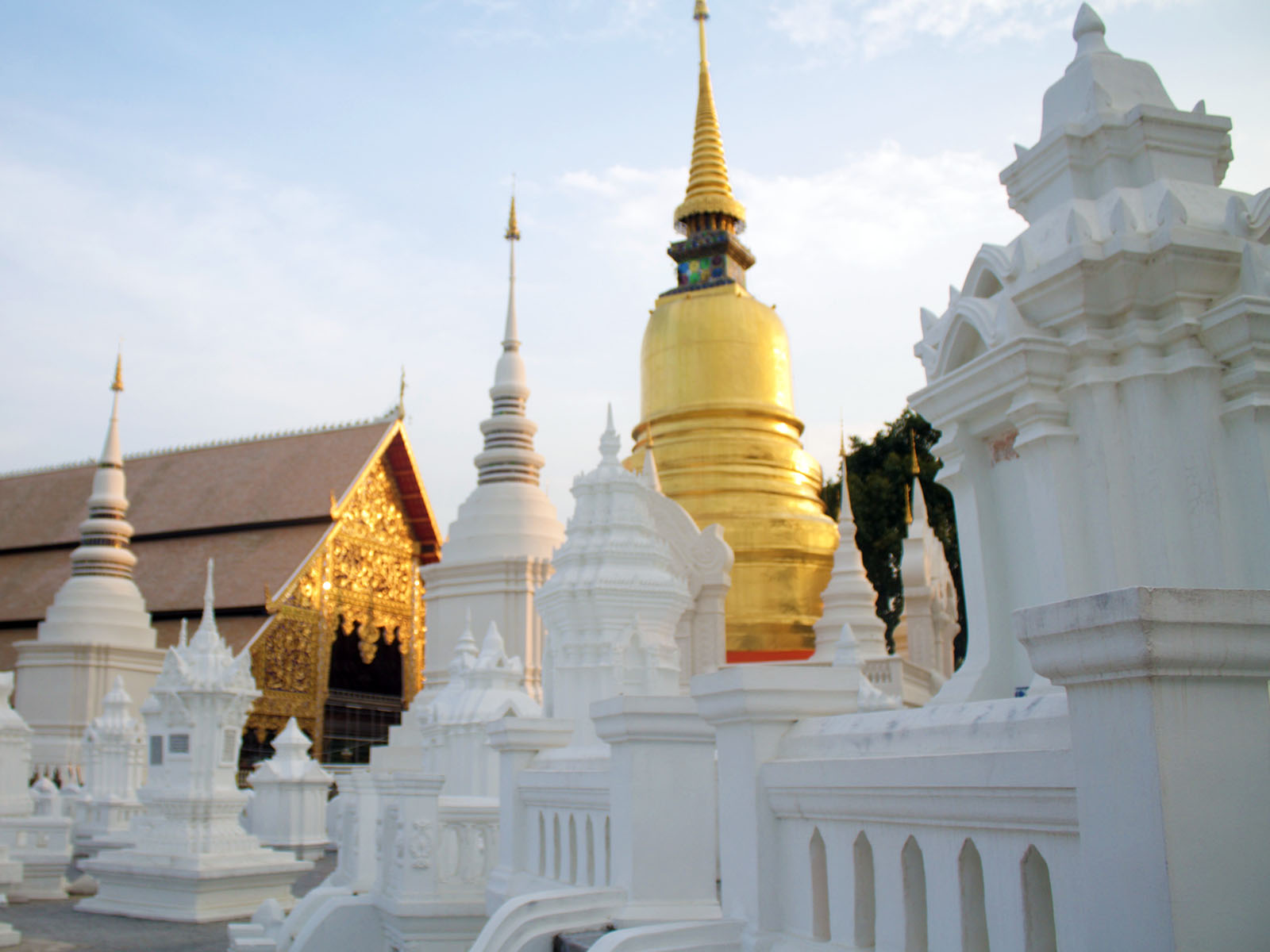 Wat Suan Dok | Chiang Mai Trekking | Das beste Trekking in Chiang Mai mit Piroon Nantaya