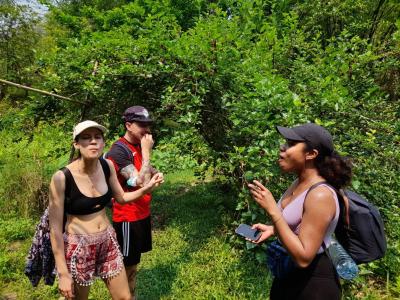 Fotos unserer Gäste | Chiang Mai Trekking | Das beste Trekking in Chiang Mai mit Piroon Nantaya