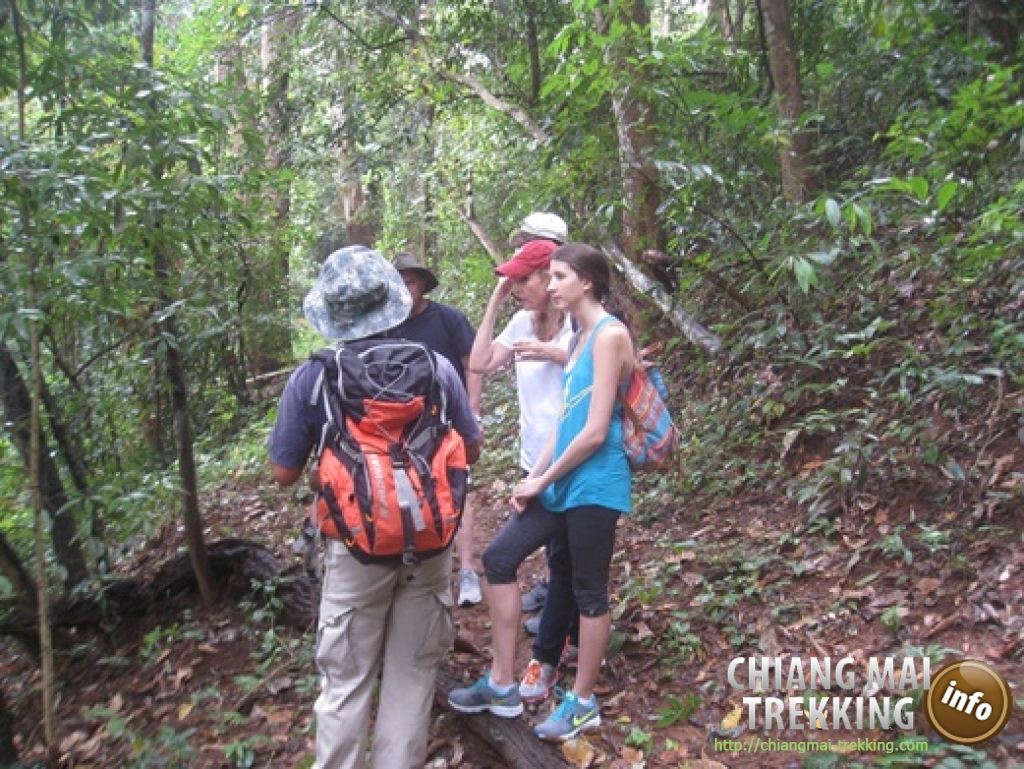 Doi Suthep & Daytrip Trekking | Chiang Mai Trekking | Das beste Trekking in Chiang Mai mit Piroon Nantaya