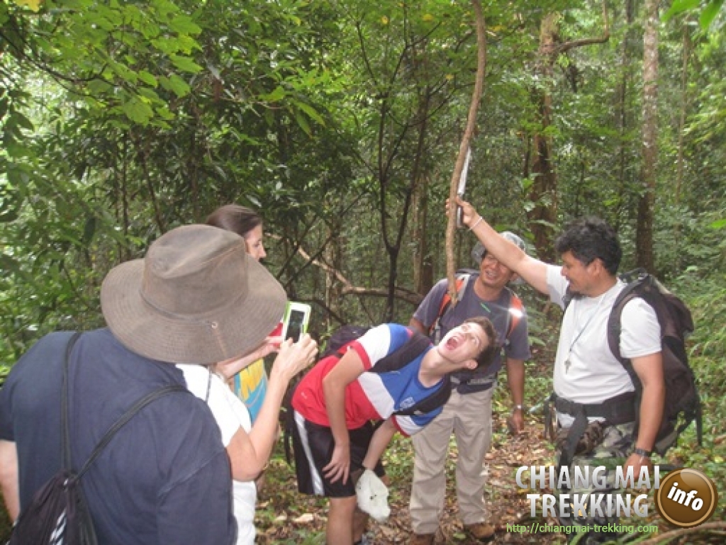 Doi Suthep & Daytrip Trekking | Chiang Mai Trekking | Das beste Trekking in Chiang Mai mit Piroon Nantaya