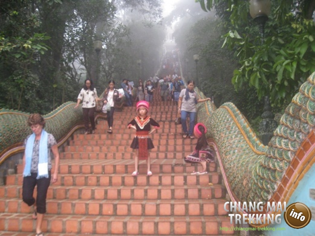 Doi Suthep & Daytrip Trekking | Chiang Mai Trekking | Das beste Trekking in Chiang Mai mit Piroon Nantaya