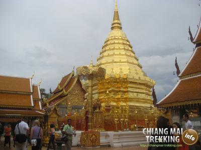 Doi Suthep & Daytrip Trekking | Chiang Mai Trekking | Das beste Trekking in Chiang Mai mit Piroon Nantaya