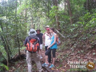 Fotos unserer Gäste | Chiang Mai Trekking | Das beste Trekking in Chiang Mai mit Piroon Nantaya