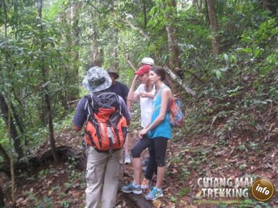 Fotos unserer Gäste | Chiang Mai Trekking | Das beste Trekking in Chiang Mai mit Piroon Nantaya