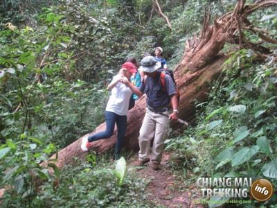 Doi Suthep & Daytrip Trekking | Chiang Mai Trekking | Das beste Trekking in Chiang Mai mit Piroon Nantaya