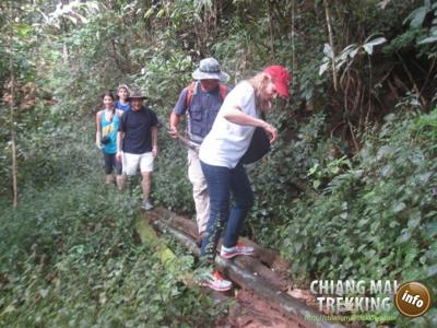 Fotos unserer Gäste | Chiang Mai Trekking | Das beste Trekking in Chiang Mai mit Piroon Nantaya