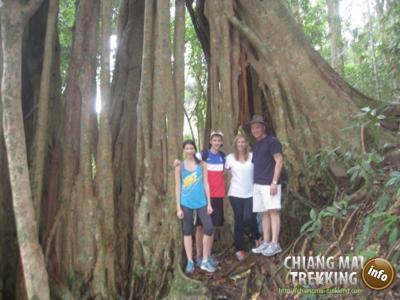 Fotos unserer Gäste | Chiang Mai Trekking | Das beste Trekking in Chiang Mai mit Piroon Nantaya