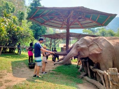 Fergio, Valentina and Ndeye and friends. | Chiang Mai Trekking | Das beste Trekking in Chiang Mai mit Piroon Nantaya