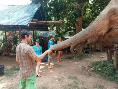 Michael, Alayna, Markus, Lise | Chiang Mai Trekking | Das beste Trekking in Chiang Mai mit Piroon Nantaya