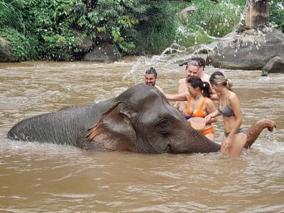 Arnaud, Daphne, Quentin, Stewart, Ingrid | Chiang Mai Trekking | Das beste Trekking in Chiang Mai mit Piroon Nantaya