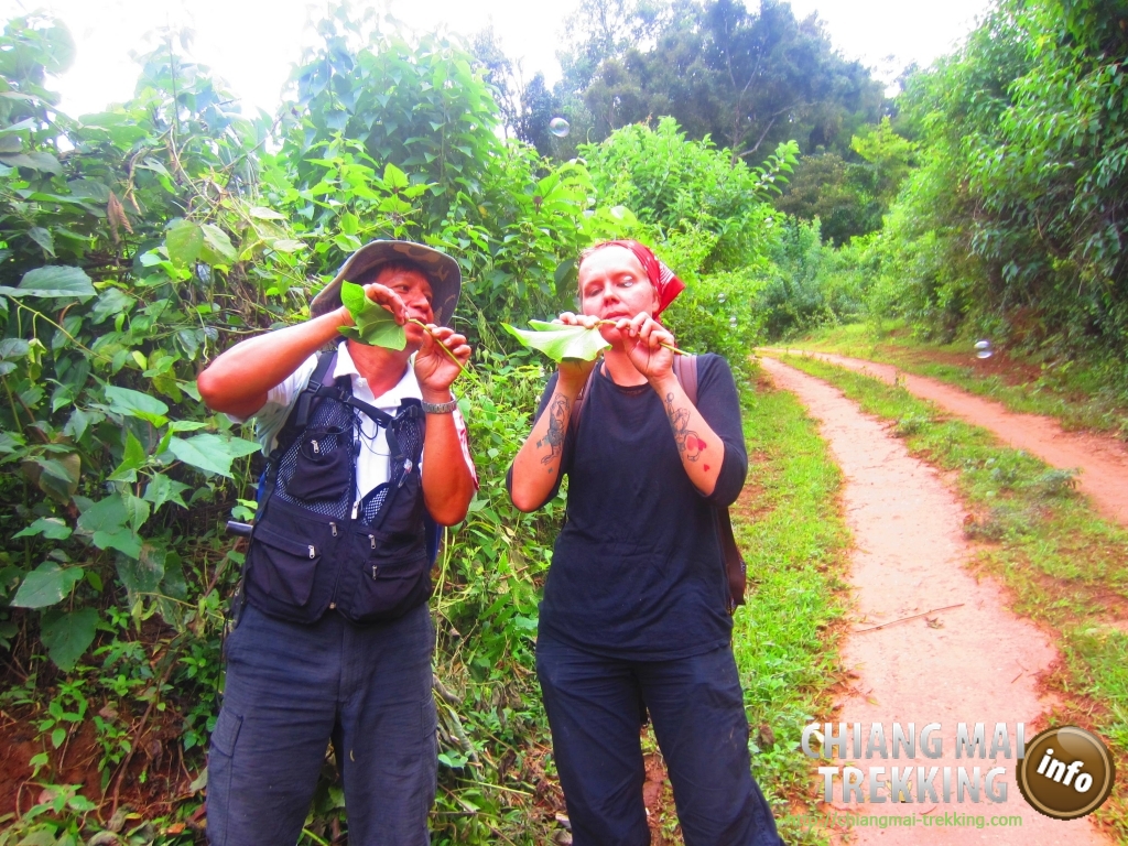 3-days/2-nights Trekking Tour & Daytrip Sightseeing | Chiang Mai Trekking | Das beste Trekking in Chiang Mai mit Piroon Nantaya