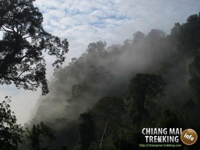 Chiang Dao Cave | Chiang Mai Trekking | Das beste Trekking in Chiang Mai mit Piroon Nantaya