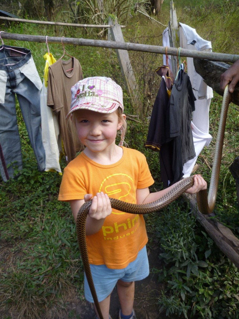 3-days/2-nights Trekking Tour | Chiang Mai Trekking | Das beste Trekking in Chiang Mai mit Piroon Nantaya
