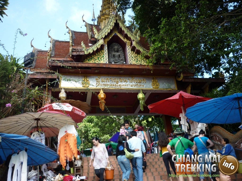Doi Suthep, Doi Pui & local market | Chiang Mai Trekking | Das beste Trekking in Chiang Mai mit Piroon Nantaya