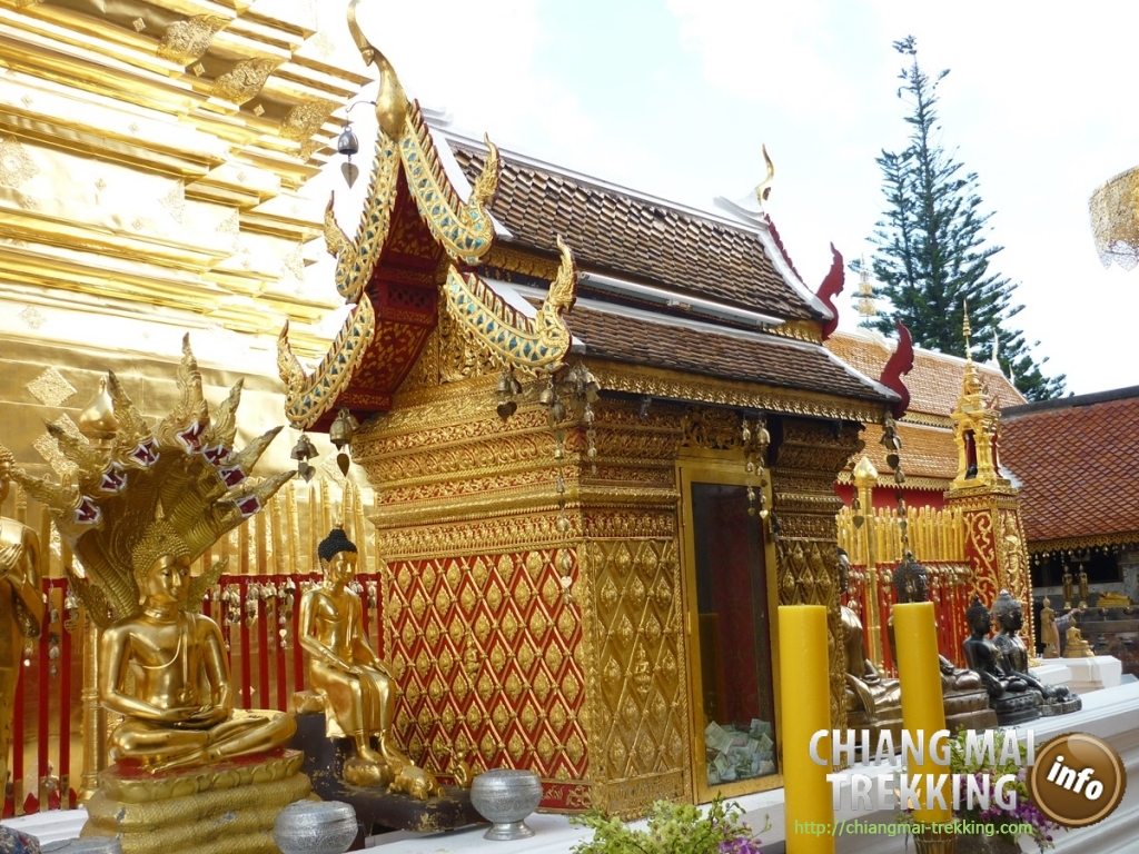 Doi Suthep, Doi Pui & local market | Chiang Mai Trekking | Das beste Trekking in Chiang Mai mit Piroon Nantaya