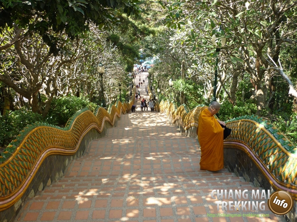 Doi Suthep, Doi Pui & local market | Chiang Mai Trekking | Das beste Trekking in Chiang Mai mit Piroon Nantaya