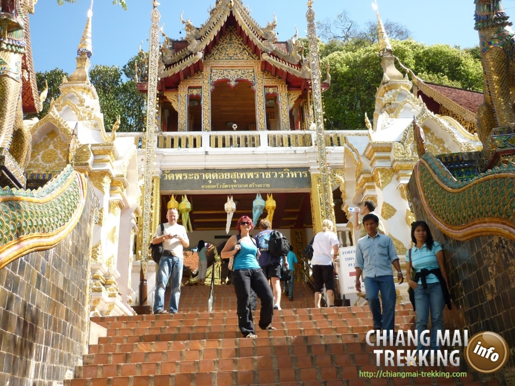 Doi Suthep, Doi Pui & local market | Chiang Mai Trekking | Das beste Trekking in Chiang Mai mit Piroon Nantaya