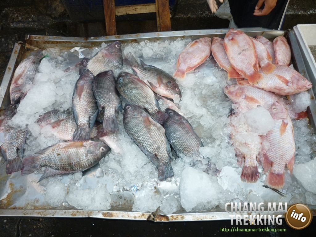 Doi Suthep, Doi Pui & local market | Chiang Mai Trekking | Das beste Trekking in Chiang Mai mit Piroon Nantaya