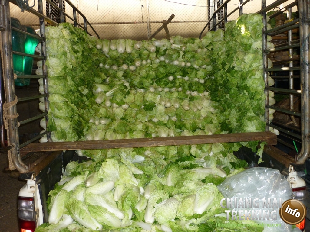 Doi Suthep, Doi Pui & local market | Chiang Mai Trekking | Das beste Trekking in Chiang Mai mit Piroon Nantaya