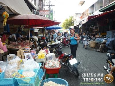 Fotos unserer Gäste | Chiang Mai Trekking | Das beste Trekking in Chiang Mai mit Piroon Nantaya