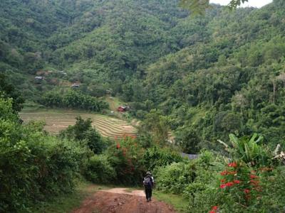 Fotos unserer Gäste | Chiang Mai Trekking | Das beste Trekking in Chiang Mai mit Piroon Nantaya