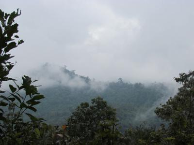 Fotos unserer Gäste | Chiang Mai Trekking | Das beste Trekking in Chiang Mai mit Piroon Nantaya