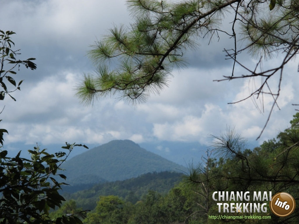Day Trip Chiang Dao Cave & Doi Luang Chiang Dao Mountain | Chiang Mai Trekking | Das beste Trekking in Chiang Mai mit Piroon Nantaya