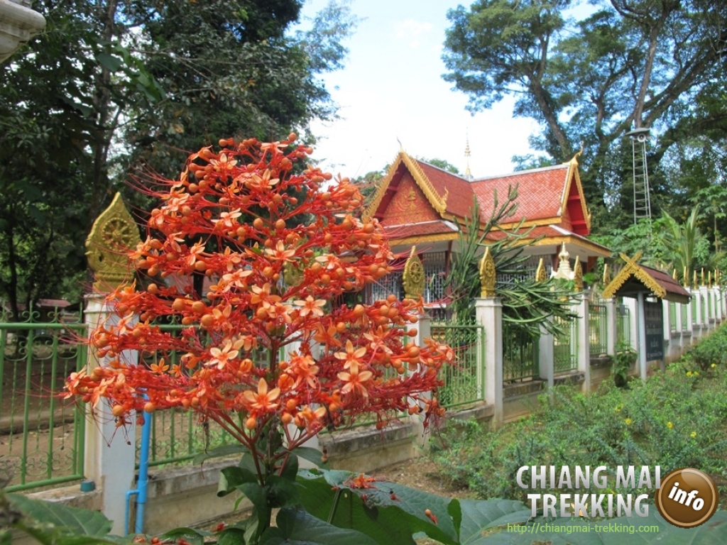 Day Trip Chiang Dao Cave & Doi Luang Chiang Dao Mountain | Chiang Mai Trekking | Das beste Trekking in Chiang Mai mit Piroon Nantaya