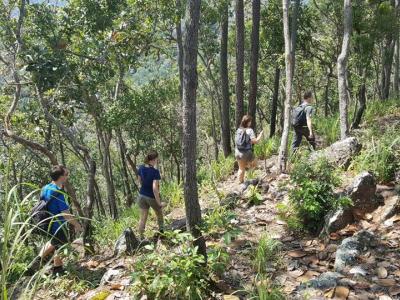 Fotos unserer Gäste | Chiang Mai Trekking | Das beste Trekking in Chiang Mai mit Piroon Nantaya