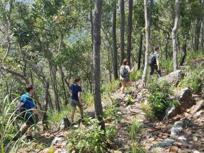 One Day trekking    | Chiang Mai Trekking | Das beste Trekking in Chiang Mai mit Piroon Nantaya