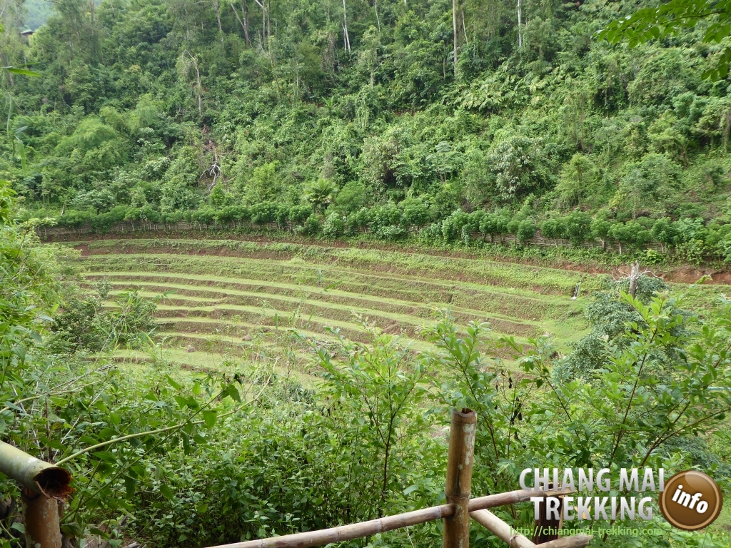 3-days/2-nights Trekking Tour | Chiang Mai Trekking | Das beste Trekking in Chiang Mai mit Piroon Nantaya