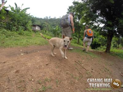 3-days/2-nights Trekking Tour | Chiang Mai Trekking | Das beste Trekking in Chiang Mai mit Piroon Nantaya