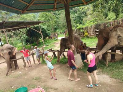 Fotos unserer Gäste | Chiang Mai Trekking | Das beste Trekking in Chiang Mai mit Piroon Nantaya